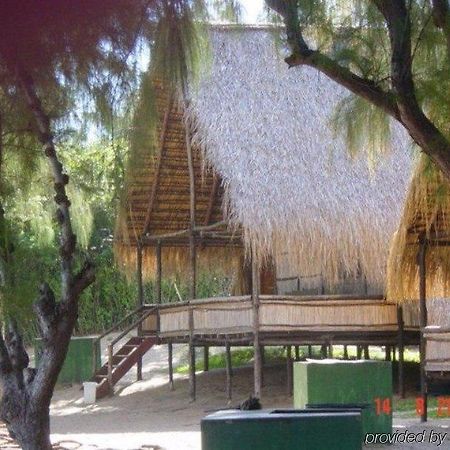 Casa Barry Beach Lodge Tofo Ngoại thất bức ảnh