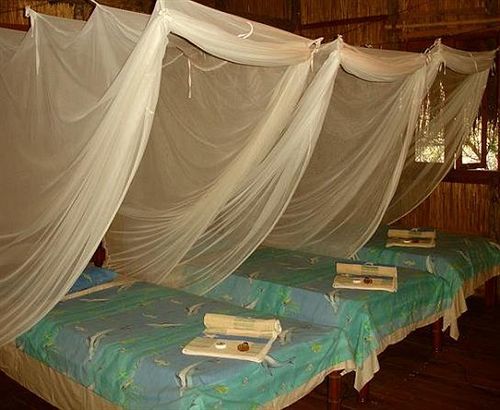 Casa Barry Beach Lodge Tofo Ngoại thất bức ảnh